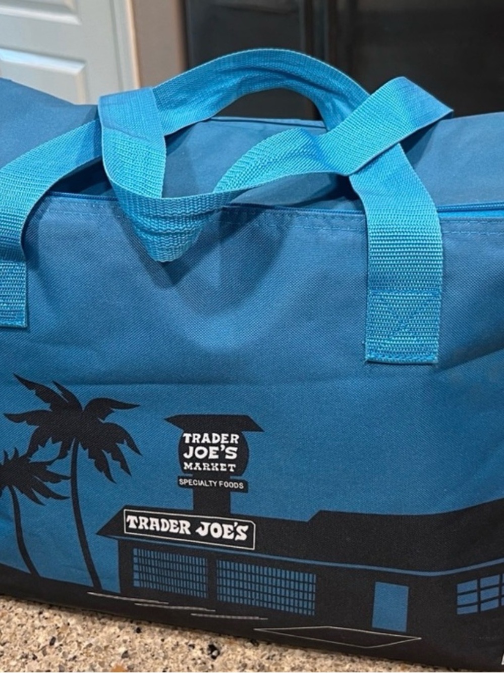 Trader Joe’s Blue Insulated XL Tote Bag with Palm Print